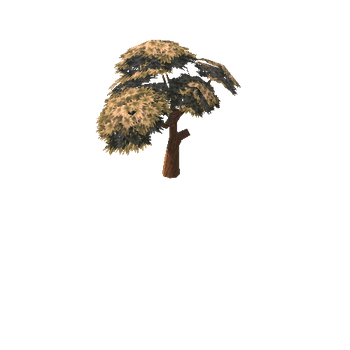 Tree 1 - 2E